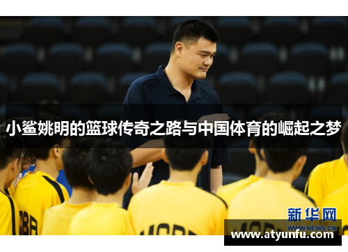 小鲨姚明的篮球传奇之路与中国体育的崛起之梦